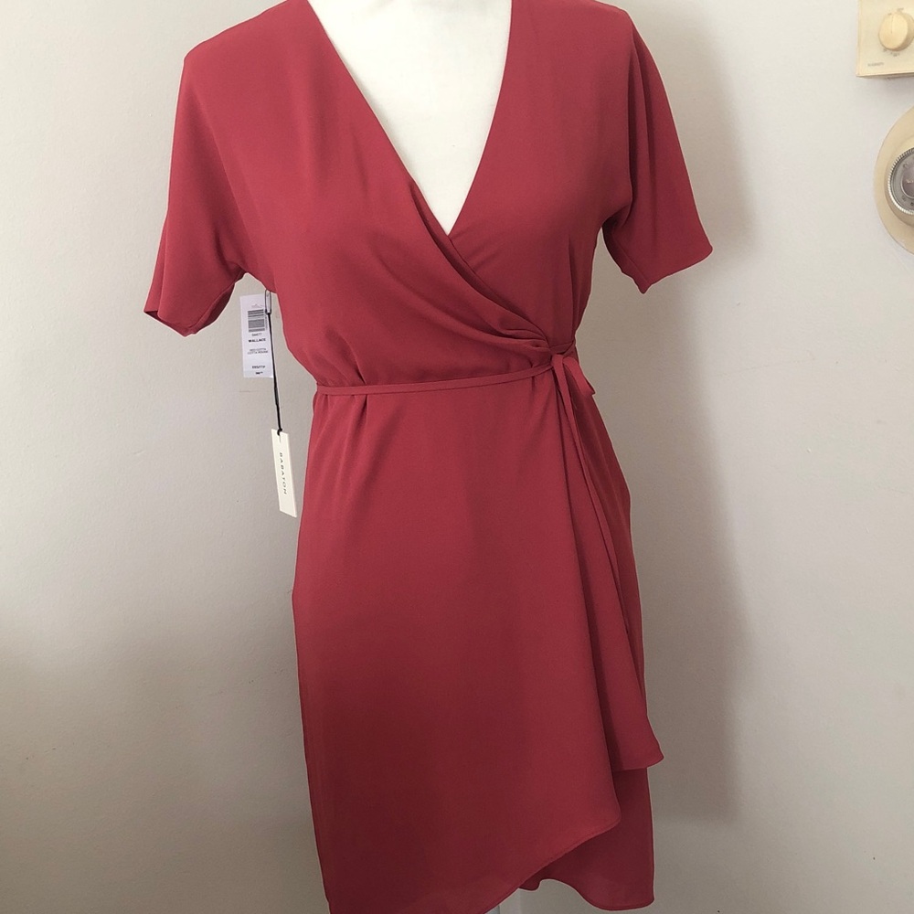 Babaton Asymmetrical Dress in red cotta